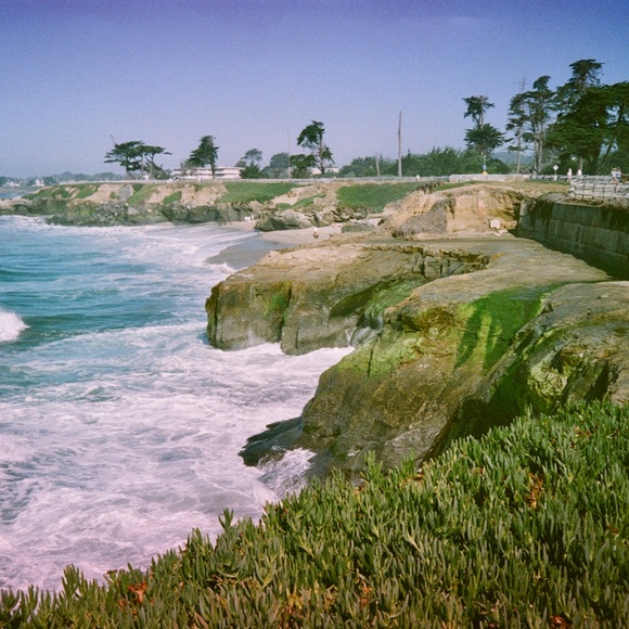 Meet your Posher, Bridget - Picture 4 of 5